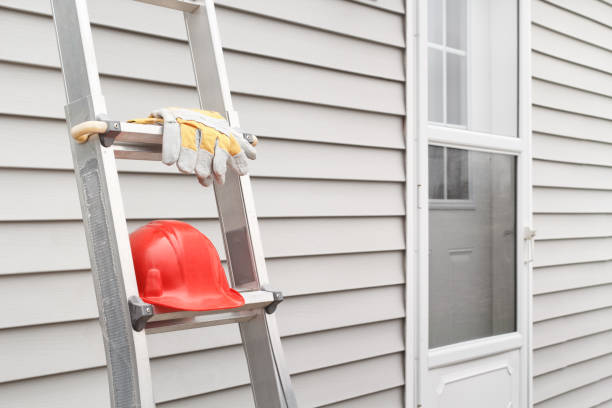 Best Steel Siding Installation  in Luck, WI