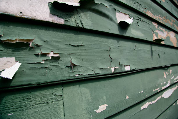 Best Stucco Siding  in Luck, WI