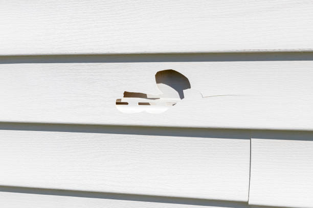 Best James Hardie Siding  in Luck, WI