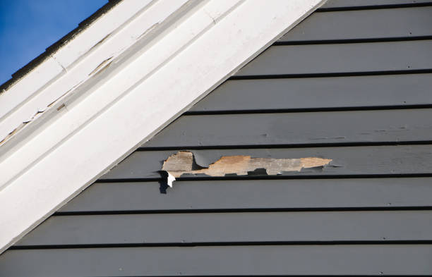 Reliable Luck, WI Siding Installation & Repair Solutions