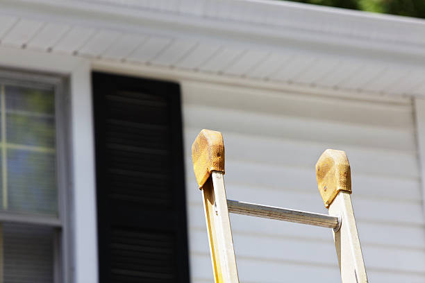 Best Siding Painting and Refinishing  in Luck, WI